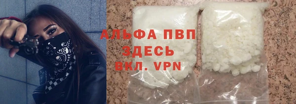 прущие грибы Снежногорск