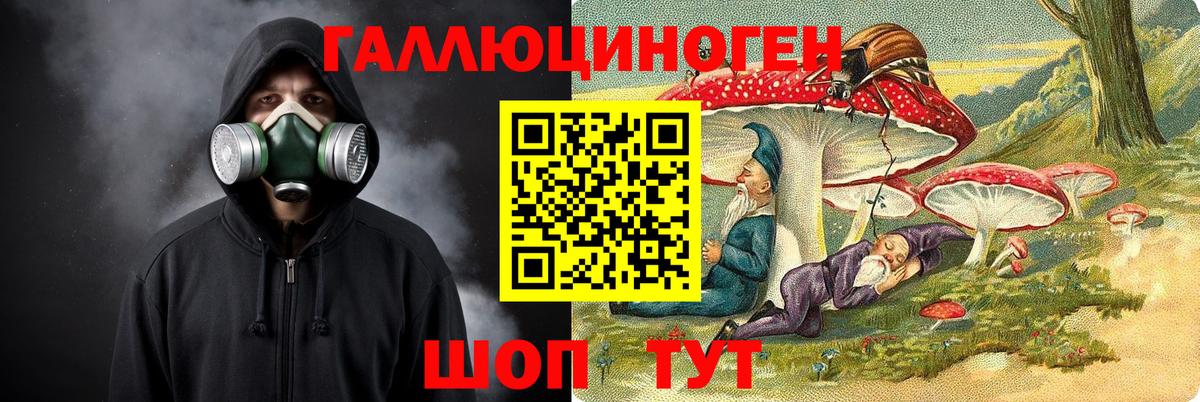 Псилоцибиновые грибы Cubensis  Вход с VPN  Псилоцибиновые грибы Psilocybe  Богданович 
